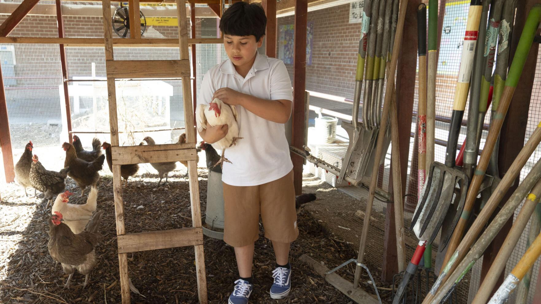 The farm-to-school model is under threat in Arizona and across the U.S.